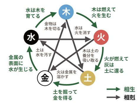 陰木性格|【四柱推命】木の五行の性格